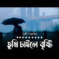 তুমি চাইলে বৃষ্টি (New Version) Minar | Tahsan | Bangla Song | Lofi & Lyrics | Bangla Lofi Song