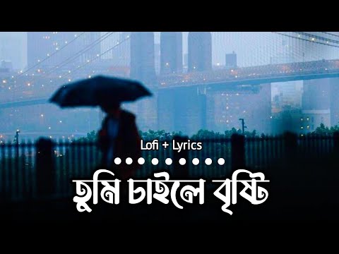 তুমি চাইলে বৃষ্টি (New Version) Minar | Tahsan | Bangla Song | Lofi & Lyrics | Bangla Lofi Song