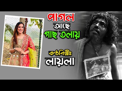 পাগল আছে অট্টালিকায় পাগল আছে গাছ তলায় – লায়লা । Pagol – Bangla Music Video || 2022