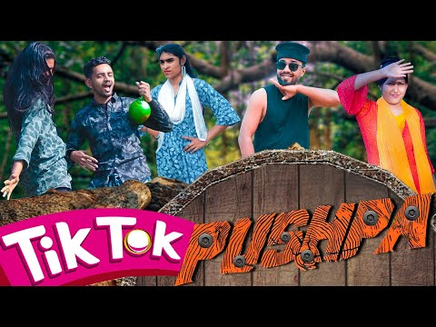 Tik Tok Pushpa | bangla funny video | Family Comedy Bd | imran funny video | tiktok funny desi