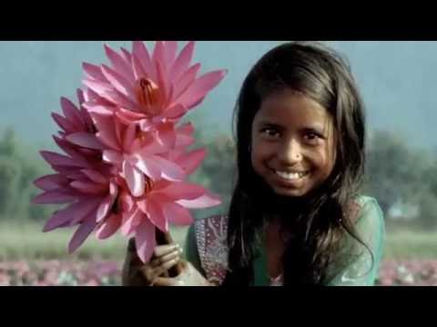 Visit Bangladesh  – Life Happens Here