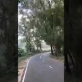 Beauty of nature || Beautiful highway tree road ||Beauty of  Bangladesh || Travel with M H Shohan ||