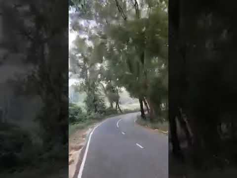 Beauty of nature || Beautiful highway tree road ||Beauty of  Bangladesh || Travel with M H Shohan ||