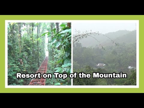 Resort on Top of The Mountain | Shuktara in Sylhet  | Bangladesh | 10D17 Day 15