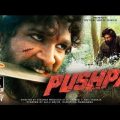 Pushpa Full Movie Hindi Dubbed|| Allu Arjun Rashmika Mandanna|| Pushpa Movie ln Hindi #Pushpamoviehd