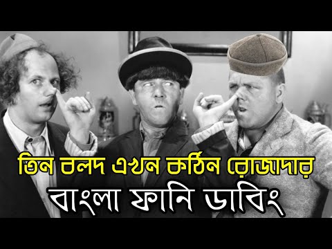 Three Stooges Kothin Rojadar | Bangla Funny Dubbing | Bangla Funny Video | Khamoka tv