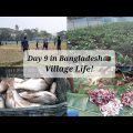 Day 9 🇧🇩 |Cricket Match | Fishing | মাছ ধরা | Village Life! | Bangladesh travel Vlog | Sylhet | ALK!
