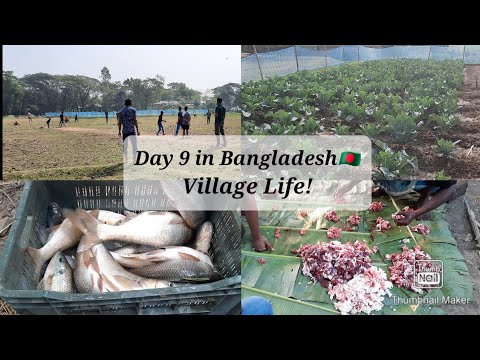 Day 9 🇧🇩 |Cricket Match | Fishing | মাছ ধরা | Village Life! | Bangladesh travel Vlog | Sylhet | ALK!