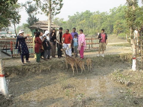 Beautiful Sundarban in Bangladesh