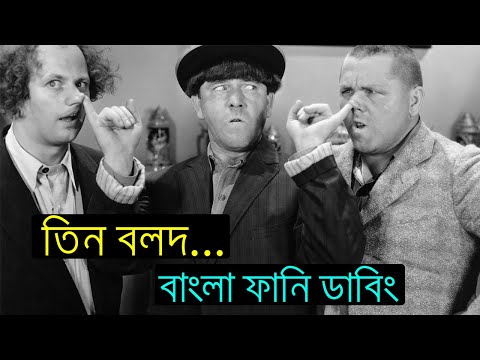 তিন বলদ | ফানি ভিডিও | Three Stooges Bangla Funny Dubbing Video 2022 | 3 Stooges Bangla Comedy