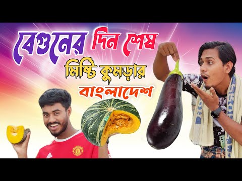 ফানি ভিডিও মিস্টি কুমড়ার বেগুনি😅| New Recipe Funny Video | Bangla New Funny Video | Comedy Video