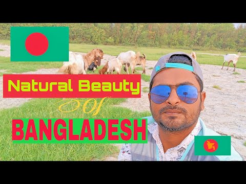 Natural Beauty Of Bangladesh !! Let's See Bangladesh !! Bangladesh documentary shamim reza traveller