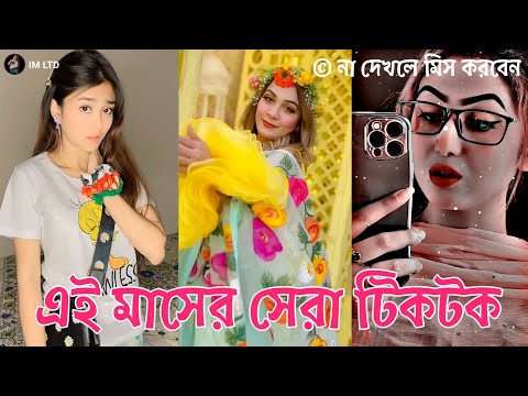 এই মাসের সেরা টিকটক | Bangla New Funny Tiktok and Musical Video | Bangla Funny Likee Video | IM LTD