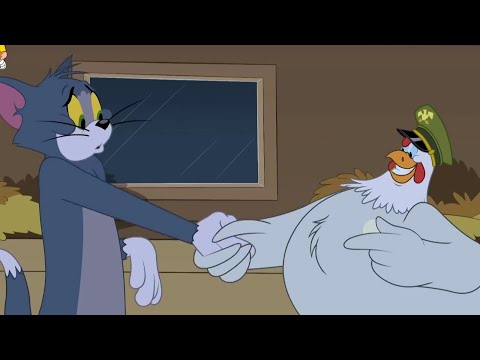 Funny tom and jerry cartoon | Bangla Funny Video | Funny cartoon টম এন্ড জেরি  Tom and Jerry Bangla