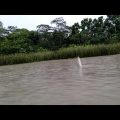 Travel to the rivers of Bangladesh
