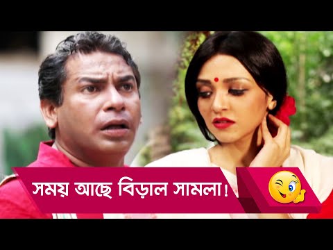 সময় আছে বিড়াল সামলা! প্রাণ খুলে হাসতে দেখুন – Bangla Funny Video – Boishakhi TV