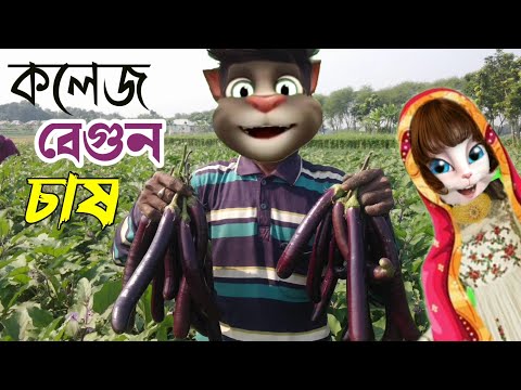 কলেজ বেগুন চাষ Talking Tom Bangla Funny Video Tom and angela Bangla New Comedy drama Funny Video