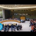 Women & Peace & Security – Security Council, 9016th meeting