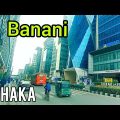 Banani dhaka city in Bangladesh |   বনানী বাজার | adventure travel