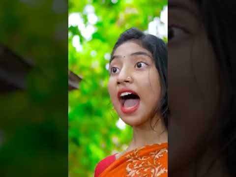 বাংলা ফানি ভিডিও সফিক|| Bangla funny video safik #shorts  Palli Gram TV Shorts