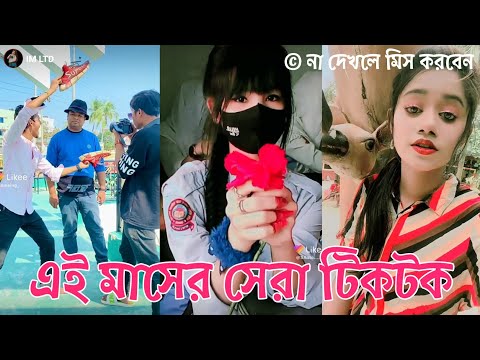 এই মাসের সেরা টিকটক | Bangla New Funny Tiktok and Musical Video | Bangla Funny Likee Video | IM LTD