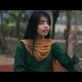 Bangla Folk Song | স্বপ্ন বুকে নিয়া | Shakila Shaki | Bodrul | Bangla Music Video | bicced Song2021