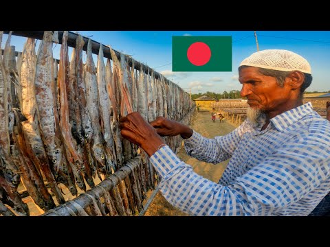 Visiting Bangladesh Largest Dry Fish Market in Cox Bazar 🇧🇩