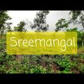 Sreemangal | শ্রীমঙ্গল | Moulvibazar | Sylhet | Travel | Bangladesh |