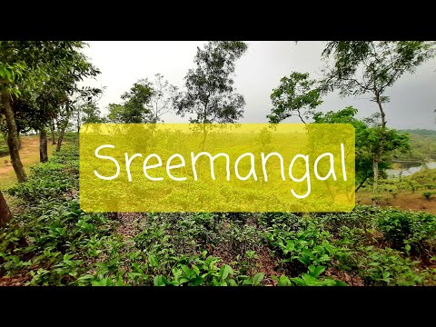 Sreemangal | শ্রীমঙ্গল | Moulvibazar | Sylhet | Travel | Bangladesh |