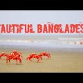 Beautiful Bangladesh | Official Trailer of Saint Martin and Cox's Bazar Tour | 5th to 9th March 2022