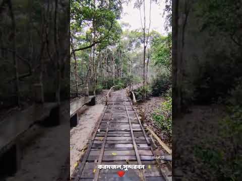 করমজল,সুন্দরবন #sundarban #bangladesh #travel