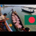 Bangladesh Cox Bazar Fish Market 🇧🇩
