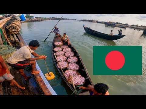 Bangladesh Cox Bazar Fish Market 🇧🇩