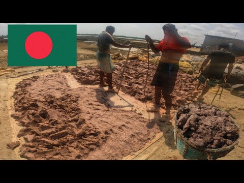 This is how Shrimp paste is prepared 🇧🇩