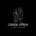 তোমারে দেখলো | Tumare Dekhilo || Habib || Vhanga aina ভাঙ্গা আয়না | Bangla Lyrics Song