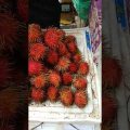From Thailand New Fruits In Bangladesh Market #shorts #traveladdiction #travel #fruits