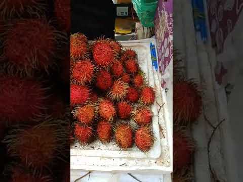 From Thailand New Fruits In Bangladesh Market #shorts #traveladdiction #travel #fruits