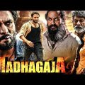 MADHAGAJA (2022) New Released Full Hindi Dubbed South Movie | Srii Murali, Jagapathi Babu, Ashika R