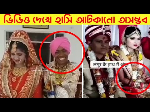 অস্থির বিয়ে Part 82😂|| Bangla funny video | না হেসে যাবি কই | mayajaal | Facts bangla | Funny facts