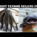 Street Vendor Selling Cat Fish & Shol Fish | Dhaka | Bangladesh | Travel Vlogs
