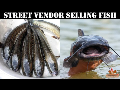 Street Vendor Selling Cat Fish & Shol Fish | Dhaka | Bangladesh | Travel Vlogs