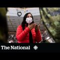 Canadian military struggling to deal with racism in the ranks: report