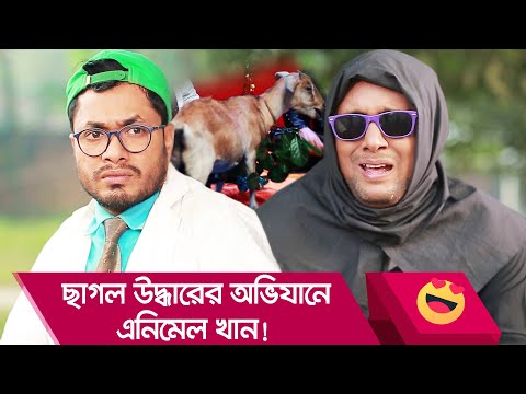 ছাগল উদ্ধারের অভিযানে এনিমেল খান! এ কি কান্ড দেখুন – Bangla Funny Video – Boishakhi TV Comedy