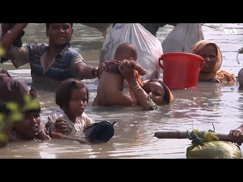 Rohingya refugees cross river to reach Bangladesh