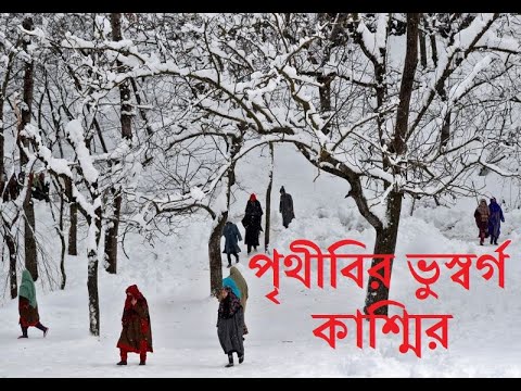 পৃথীবির স্বর্গ কাশ্মির/ Earth's Paradise kashmir #kashmir # travel #Bangladesh #Truthbehind #india