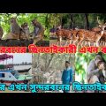 সুন্দরবনের ছিনতাইকারী এখন বানর একটু দেখে আসুন | Sundorbon Bangladesh | Sundorbon Munky Attack