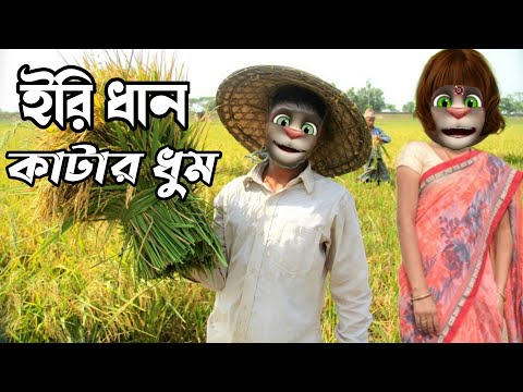 ইরি ধান কাটার ধুম || Bangla Comedy Talking Tom Bangla Funny Video || Mr. Fantus