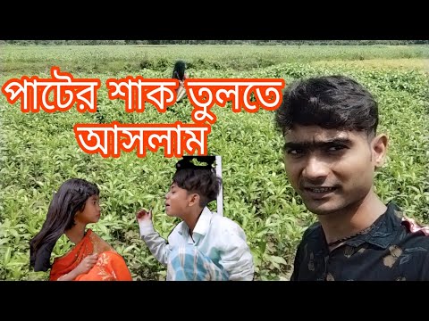 পাটের শাক তুলতে আসলাম | শফিকের নতুন ভিডিও | sofiker bangla funny video | sofiker notun video/sofiker