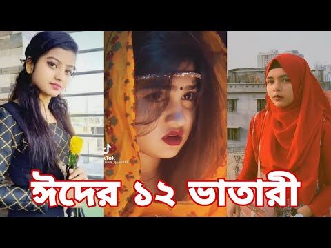 ঈদের নতুন টিকটক | হাঁসি না আসলে এমবি ফেরত | Bangla Funny TikTok Video | SBF Tiktok ep-17