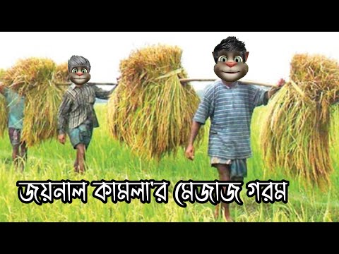 জয়নাল কামলা'র মেজাজ গরম Talking Tom Bangla Funny Video Episode 2022 | Village Comedy Video ||